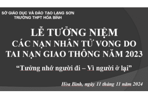 THÔNG ĐIỆP HƯỞNG ỨNG “NGÀY THẾ GIỚI TƯỞNG NIỆM CÁC NẠN NHÂN TỬ VONG DO TAI NẠN GIAO THÔNG” NĂM 2024