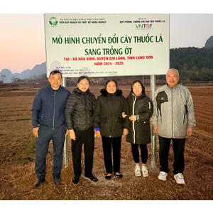Bà Vi Thị Chữ Gương Điển Hình Tiên Tiến Trong Phong Trào Thi Đua “Cả Nước Chung Sức Xây Dựng Nông Thôn Mới”