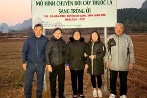 Bà Vi Thị Chữ Gương Điển Hình Tiên Tiến Trong Phong Trào Thi Đua “Cả Nước Chung Sức Xây Dựng Nông Thôn Mới”